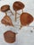 Late 20th Century Horace B. Hartshaw Walnut Stools/ Handcrafted /Wharton Esherick Style For Sale - Image 9 of 13