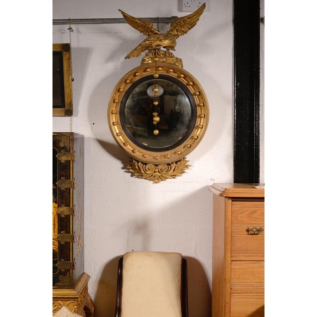 A fabulous large scale Regency gilt convex mirror, the silvered mercury glass plate bordered by an ebonised reeded slip...