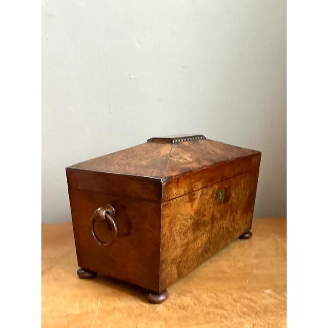Mid 19th Century Vintage Burl and Brass Decorative Box For Sale - Image 5 of 13