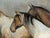 Matthew Paoletti "Four Horses" Contemporary Naturalistic Equestrian Animal Painting of Horses, 2022 For Sale - Image 9 of 10