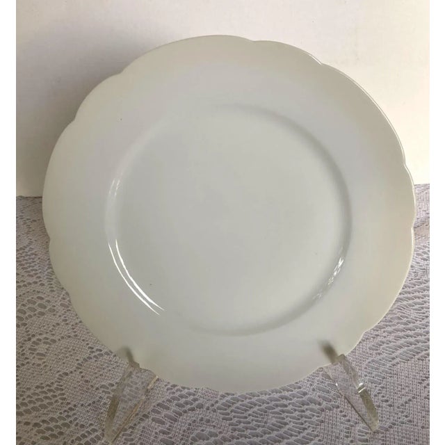 The HAVILAND & Co. Limoges Plates feature an all-white design with scalloped edges and no decorative trim. The simplicity...