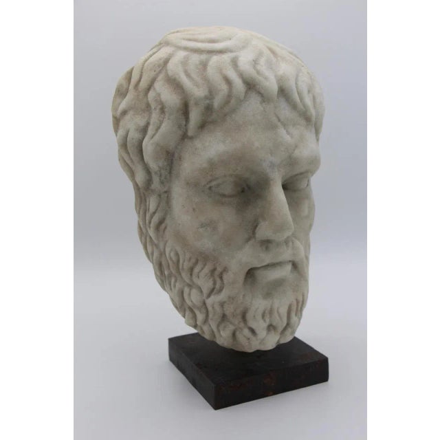 Head in Antique Style, 1800s, Carrara Marble For Sale - Image 6 of 8