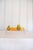 Metal Small Fruit Bowl by Werajane Design For Sale - Image 7 of 7