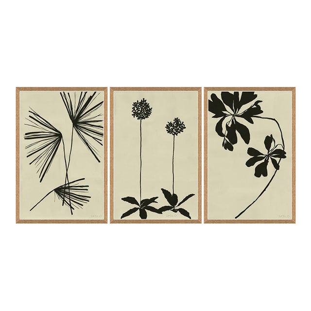 Palm, Allium and Mediterranean Leaf by Susan Hable For Sale