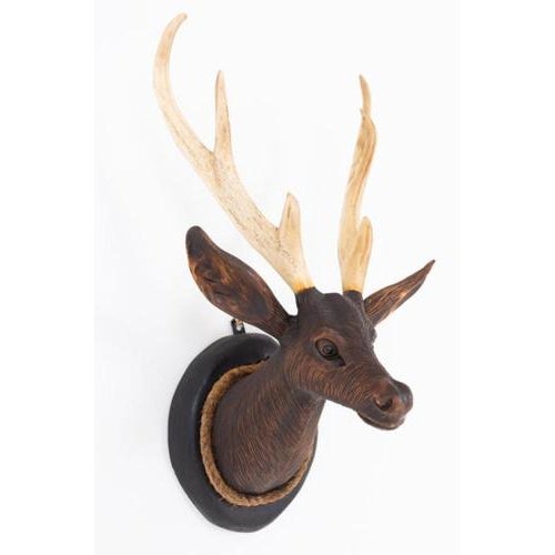 Black Forest Stag's Head, 1920s For Sale - Image 4 of 5