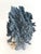 Natural Blue Coral Specimen Coastal Decor For Sale - Image 10 of 11