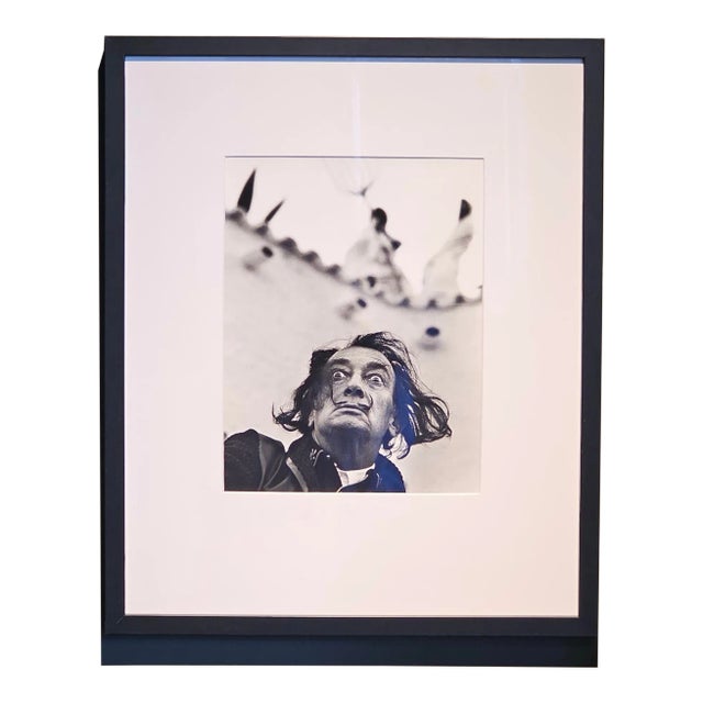 Philippe Halsman, Dali in Port Lligat, 1964, Framed For Sale