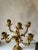 Early 20th Century French Gilt Brass Louis XV Style 5 Light Candelabra For Sale - Image 10 of 12
