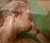 Mid-Century Modern Mid 20th Century Female Nude by Mid 20th Century Female American Artist Lena Gurr in Pastels For Sale - Image 3 of 5