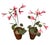 Rustic Pair of Artisan Flowers For Sale - Image 3 of 12