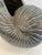 Modern Large Ceramic Grey Nautilus Shell Sculpture For Sale - Image 3 of 12