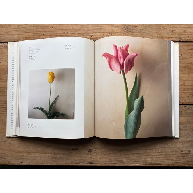 Traditional Tulipa: A Photographer’s Botanical by Christopher Baker – Luxury Floral Photography Coffee Table Book For Sale - Image 3 of 12