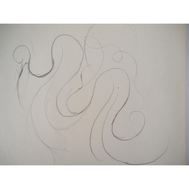 Marie Laurencin, Study of Ornament, Original Drawing For Sale - Image 4 of 5