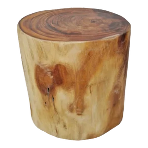 Teak Root Oval Stool / Side Table