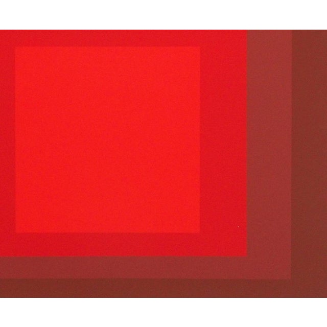 Josef Albers, Homage to the Square, R I D 5, Screen Print For Sale - Image 5 of 6
