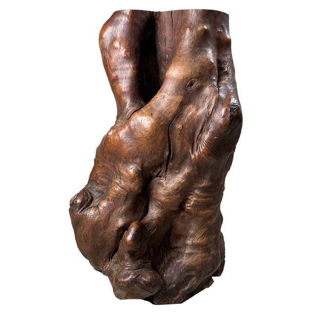 Japanese Decorative Burl Wood Tsuge, 1920s For Sale