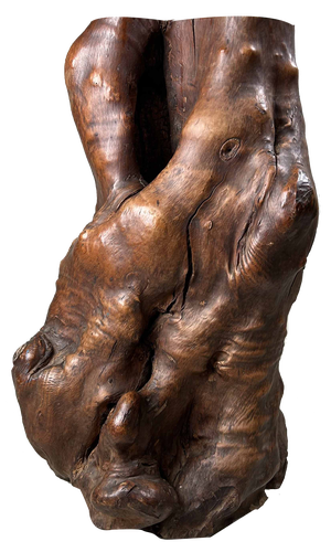 Japanese Decorative Burl Wood Tsuge, 1920s