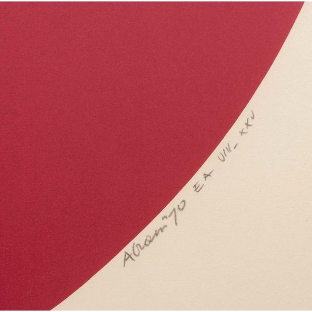 Ronald Abram Infinitesimale Constantes, Silkscreen in Colors, 1970 For Sale In New York - Image 6 of 7