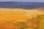 Untitled by Connie Taylor | Oil on panel Abstract landscape with warm colors. For Sale - Image 4 of 5