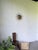 Sun Wall Sconce, 1950s For Sale - Image 4 of 18