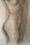 Life Study of Nude Lady, 1976, Graphite on Paper, Framed For Sale - Image 4 of 8
