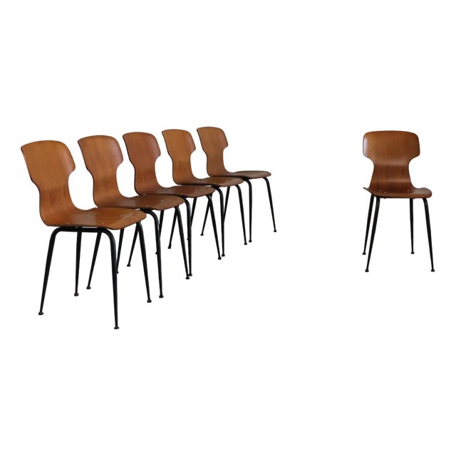 Plywood Chairs by Carlo Ratti for Industria Legni Curvati Lissone, 1950, Set of 6 For Sale