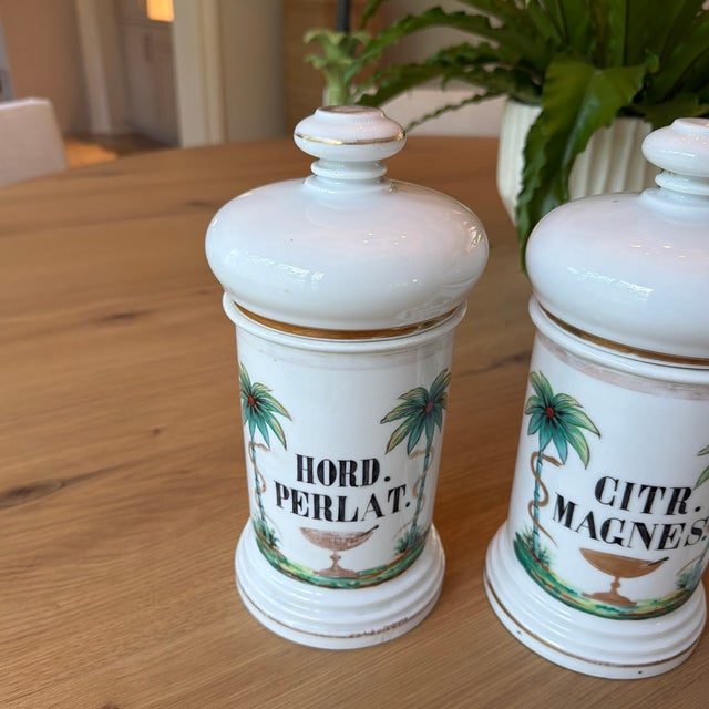 French Set of 4 Antique Porcelain Apothecary Jars With Hand Painted Palm Tree and Serpent Decoration For Sale - Image 3 of 12
