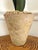 Tommy Mitchell Tole Potted Hyacinth. For Sale - Image 11 of 12