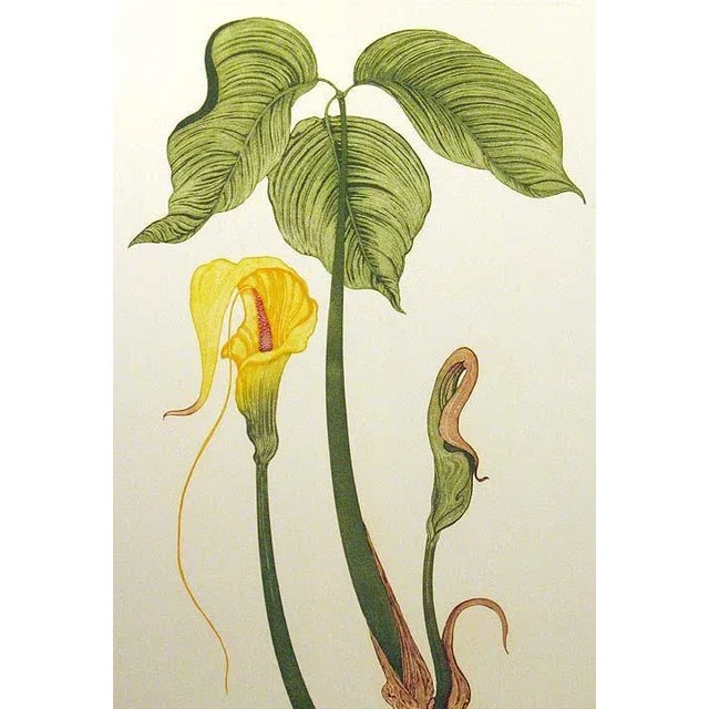 Limited edition etching by Arnold Iger. Pencil signed, titled and numbered by the artist. Image Size: 26.5" x 19", Paper...