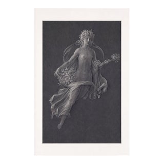 Atelier Aria Lumae Wilhelm Zahn Pompeian Flora Primavera Fresco Graphite Study High Contrast Fine Art Gallery Board Print 16 X 24 For Sale
