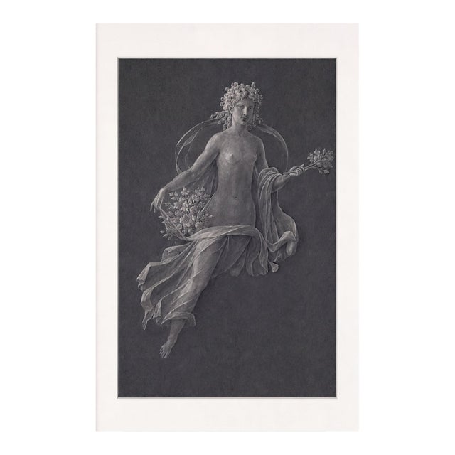Atelier Aria Lumae Wilhelm Zahn Pompeian Flora Primavera Fresco Graphite Study High Contrast Fine Art Gallery Board Print 16 X 24 For Sale