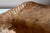 Wood Hand-Carved Bowl in Organic Wood by Stropis, 1970s For Sale - Image 7 of 12