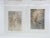 1945 photographs of microscopic fungal slides. Very abstract looking, notes in pencil on verso. Unframed, each is 4" x 5".