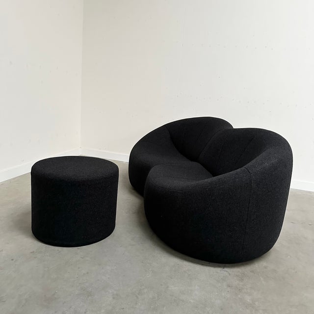 Pumpkin Two-Seater Sofa and Pouf by Pierre Paulin for Ligne Roset, 2008, Set of 2 For Sale - Image 15 of 16