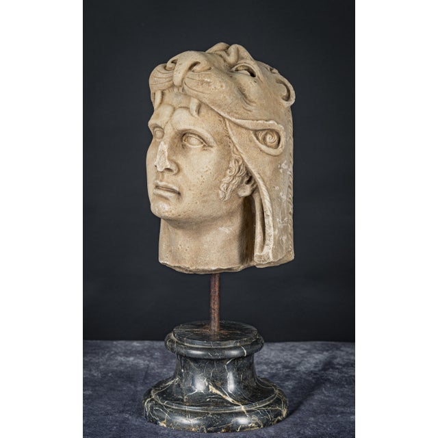 Marble Head of Mithridates IV For Sale - Image 4 of 6