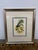 Wood Louis Van Houtte's Orchid Botanical Print, Framed For Sale - Image 7 of 12