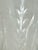 Libbey Rock Sharpe Wine Glasses, Set of Seven For Sale - Image 9 of 12