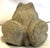 Sculpture Materials Vintage Cast Concrete Frog Garden Statue Symbolizing Rebirth, Fertility and Good Fortune For Sale - Image 7 of 12