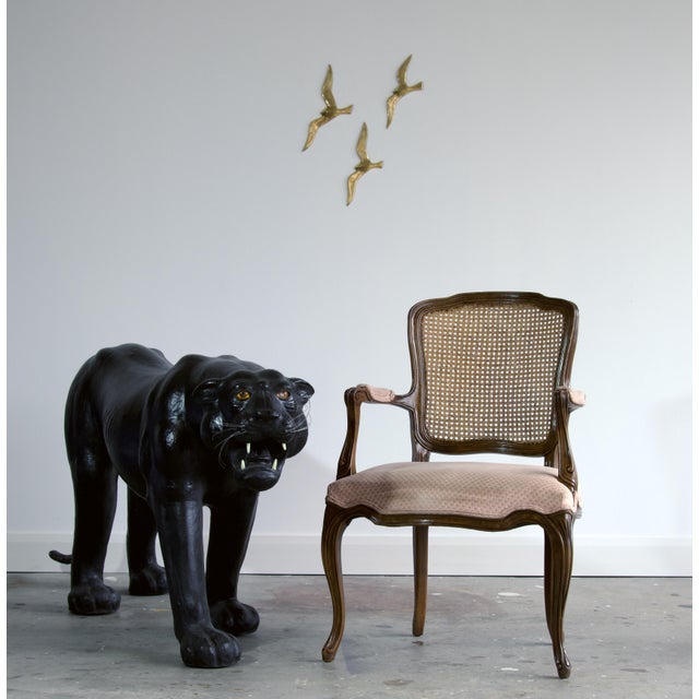 Mid-Century Modern Massive Life Size Panther With Glass Eyes, Mid-Century For Sale - Image 3 of 4