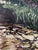 Early 21st Century The Rhythm of Light by Deb Komitor | Oil Painting of a stream with light reflecting on water For Sale - Image 5 of 5