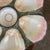 Antique French Oyster Plate For Sale - Image 4 of 5