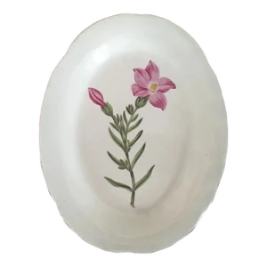 1810 English Pearlware Creamware Botanical Pottery Oval Plate