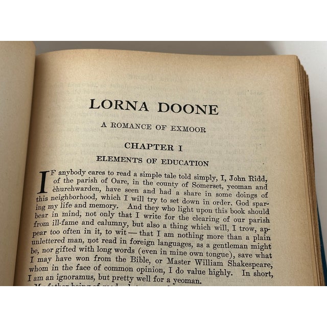 Textile Decorative Blue and Pink Art Nouveau Antique Book Decor For Sale - Image 7 of 11