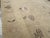 Mid 20th Century Galerie Shabab Collection Mid-20th Century Turkish Anatolian Accent Rug For Sale - Image 5 of 10