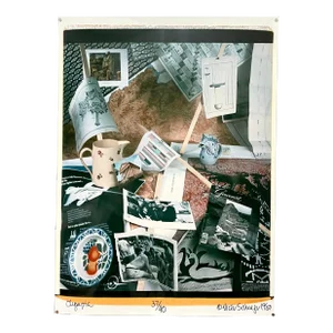 Victor Schrager, Large Format Polaroid Photograph Still Life Color Photo Dye Print Betty Hahn Art, 1980