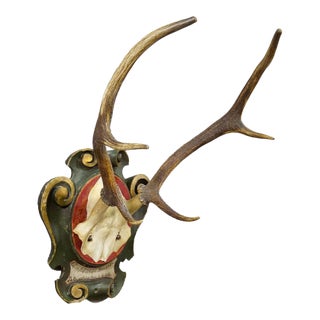 Black Forest Red Deer Trophy on Painted Plaque - Germany 1916 For Sale
