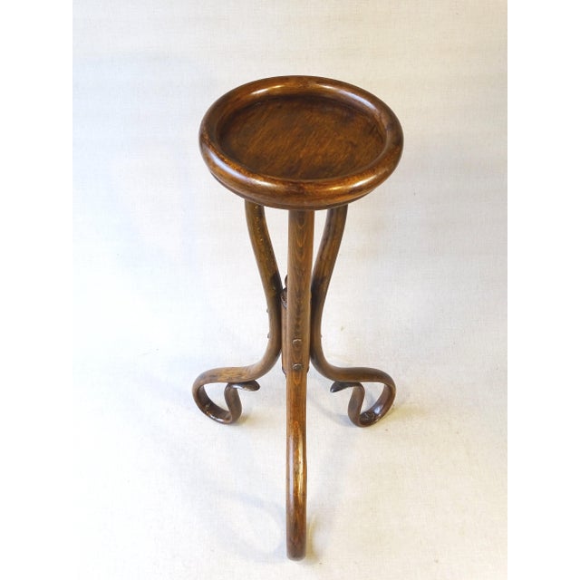 Art Nouveau Bentwood Flower Stand, 1890 For Sale - Image 13 of 14