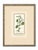 French Antique French Botanical Engravings From Descourtilz’s Medical Flora of the West Indies, C. 1830 – Hand-Colored, Custom Framed ( Set B) - Set of 4 For Sale - Image 3 of 5