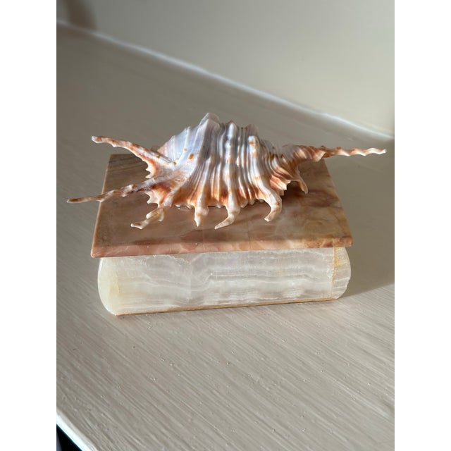 Coastal Onyx Stone Box With Shell For Sale - Image 3 of 6