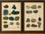 Set of two antique mineralogy chromolithographs, azurite, malachite & meteorites, 1888 description: a striking set of two...